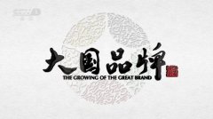 <b>金牌大只平台代理_为什么是TCL？揭秘大国品牌</b>